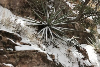 Window Rock hike, March 18